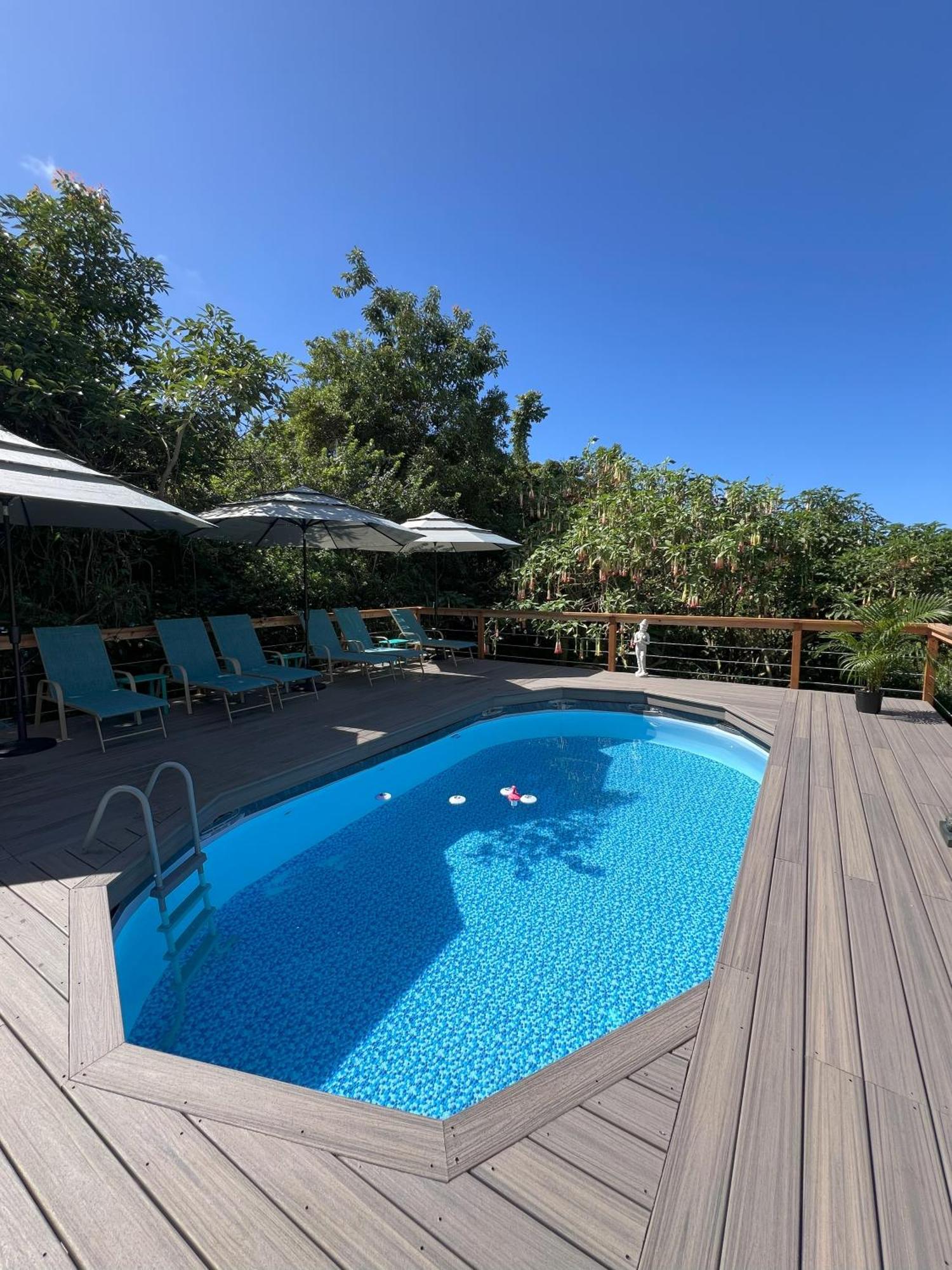 Вилла Cozy Jungle Boat Hideaway With Stunning Ocean View Kealakekua Экстерьер фото